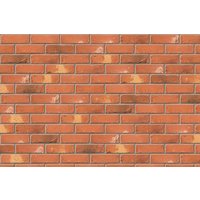 Ibstock Facing Brick Ivanhoe Cottage Blend Brick (Pack of 430)