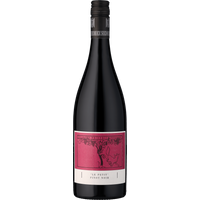 Friedrich Becker »Le Petit« Pinot Noir (75cl)