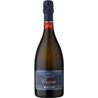 Ruggeri Valdobbiadene Prosecco Superiore di Cartizze Brut (75cl)