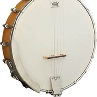 Ashbury AB-25-5 5 String Banjo, Maple Open Back Natural
