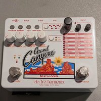2018 - Present Electro-Harmonix Grand Canyon Delay and Looper ...