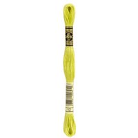 DMC Stranded Cotton Embroidery Thread 12