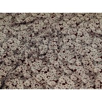 Soft Polyester Crepe Fabric Wine