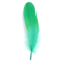 Trimits Goose Craft Feathers (Value Pack of 5) Green