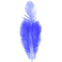 Trimits Hen Craft Feathers (Value Pack of 5) Purple