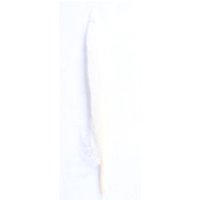 Trimits Duck Craft Feathers (Value Pack of 5) Cream