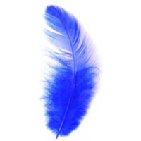 Trimits Hen Craft Feathers (Value Pack of 5) Royal Blue