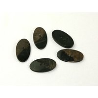 Dill Natural Horn Buttons Brown