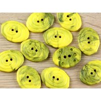 Dill Irregular Buttons (Value Pack) Yellow