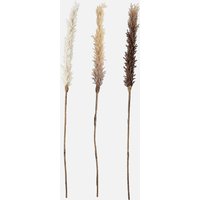 Bloomingville, Bloomingville Faux Dried Flower - Set of 3 - Askild Bloomingville, Bloomingville Faux Dried Flower - Set of 3 - Askild