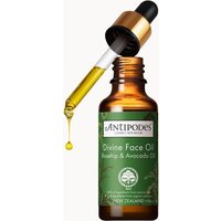 Antipodes Divine Face Oil Rosehip & Avocado Oil protective serum to treat the first signs of skin ageing 30 ml