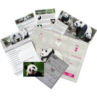 Adopt A Panda