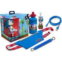 Sonic The Hedgehog Collectable Big Box (w/ Exclusive Cable Guy)