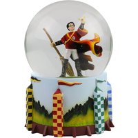 Wizarding World of Harry Potter Harry Potter Waterball