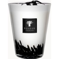 Baobab Collection Max 24 Feathers