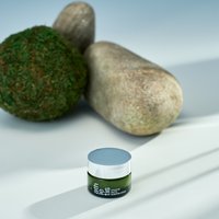 Phyto Sleeping Cream Trial Size 4g