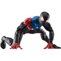 Hasbro Marvel Legends Series Gamerverse Miles Morales Boricua Suit Spider-Man Action Figure