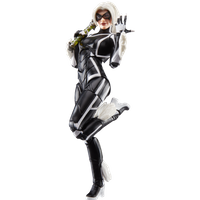Hasbro Marvel Legends Series Gamerverse Black Cat Felicia Hardy Action Figure