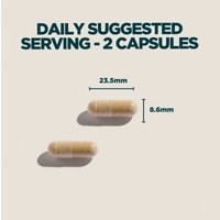 myvitamins UK MyProtein Lion's Mane Focus Capsules - 60 Capsules, 30servings - Unflavoured