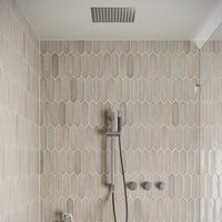 Saniclear Plus Pro inbouw regendouche met inbouw douchekop 30x30cm, glijstang en staafhanddouche RVS
