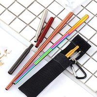 Telescopic Reusable Metal Drinking Straw