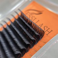 ESSILASH Mink Lash Trays Wholesale C CC D DD Curl Cashmere Eyelash Russian Volume Lashes Individual Extension Mink Lash Trays