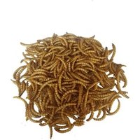 High Protein Dried Mealworms Animal Feed