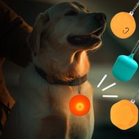 Wholesale Pet Silicon Carbide LED Luminous Pendant Dog Cat Decorative Collar Night Safe Eco Friendly Breakaway Necklace Glowing