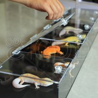 Custom Acrylic & PVC Reptile Expo Show Display Cases with Lock for Geckos and Snakes 80x15x10cm Black Vivarium