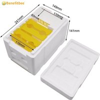 Beekeeping Equipment Mini Mating Box Queen Rearing Hive