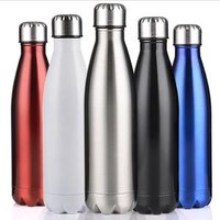 Double Wall Stainless Steel Vacuum Flask