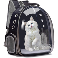 Wholesale ABS Transparent Ventilate Cat Bubble Pets Outdoor Backpack Portable Pet Travel Carrier for Cats and Dogs