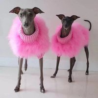 INS Luxury Winter Pet Apparel Plush Furry Turkey Fur Sweater Knitted French Bull Dog Clothes Fluffy Coat for Small Medium Dogs