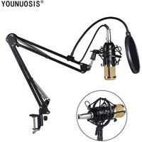 bm 800 electret microphone Condenser Sound studio Recording Radio Singing mic