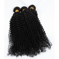 Wholesale Unprocessed Virgin Kinky Curly Bundles Vendor 100 Human Hair Afro Bulk Wholesale Raw Vietnamese Hair Cuticle Aligned