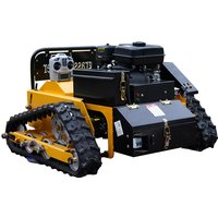 Crawler Type Intelligent Remote Control Household Multifunctional Lawn Mower Easy to Operate Lawn Machinery