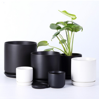 Planter Succulent Cactus Pot Home Office Decoration Flower Pot Ceramic Pot with Saucer