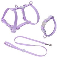 Macaron Colors No Pull Adjustable H Type Waterproof PVC Dog Harness Collar and Leash Set Pet Harness Animal Harnesses for Dogs