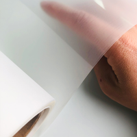 Erasmart Best Quality A3 A4 PET Film Roll Heat Transfer DTF for Digital Printing Machine High Temperature for Clothing Textiles