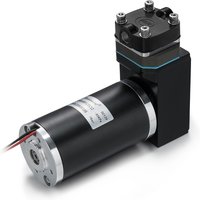 Fluidsmart 24v Dc 16LPM 8Bar High Pressure Small Air Pumps Brushed Motor Micro Piston Pump with Stainless Steel Components