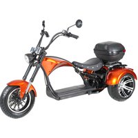 2023 Newest Model 3 Wheel Fat Tire Electric Scooter Tricycle with 2000W EEC Electric Motorcycle