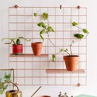 Grid photo wall decoration creative hanging photo frame wall rope clip no trace nail ins girl dormitory photo wall