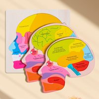 Wood Science Human Brain Puzzle Anatomy Structure Brain Parts Matching Wooden Jigsaw Toy for Toddler Home School Activity Kids