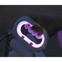 PetCome Flash Dog Leash Poop Bag Dispenser