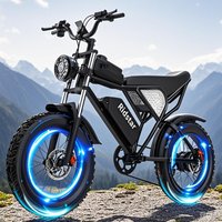 Ridstar Q20 48V 20Ah Fat Tire Electric Mountain Dirt Bike New E Bike China Manufacturer Ebike Electric City Bicycle for Adults