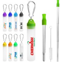 Promotional gift frosty Plastic Tube case with hook pocket 304 steel Cleaner Brush Drinking extendable foldable metal Straw set