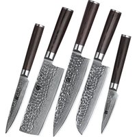 5 pcs professional 67 layers damascus kitchen knife set