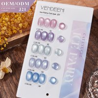 Vendeeni OEM/ODM 2025 Summer 5 Colors New High-density Cat's Eye Nail Gel Porcelain Lce Fairy Cat Eye Gel Polish