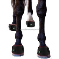 Customized Wavelength Portable 660nm 850nm Infrared LED Light Therapy for Horse Physiotherapy Horse Care Product