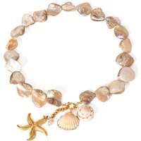 New Trendy Ocean Series 18K PVD Gold Plated Stainless Steel Pearl Starfish Shell Choker Necklace for Women